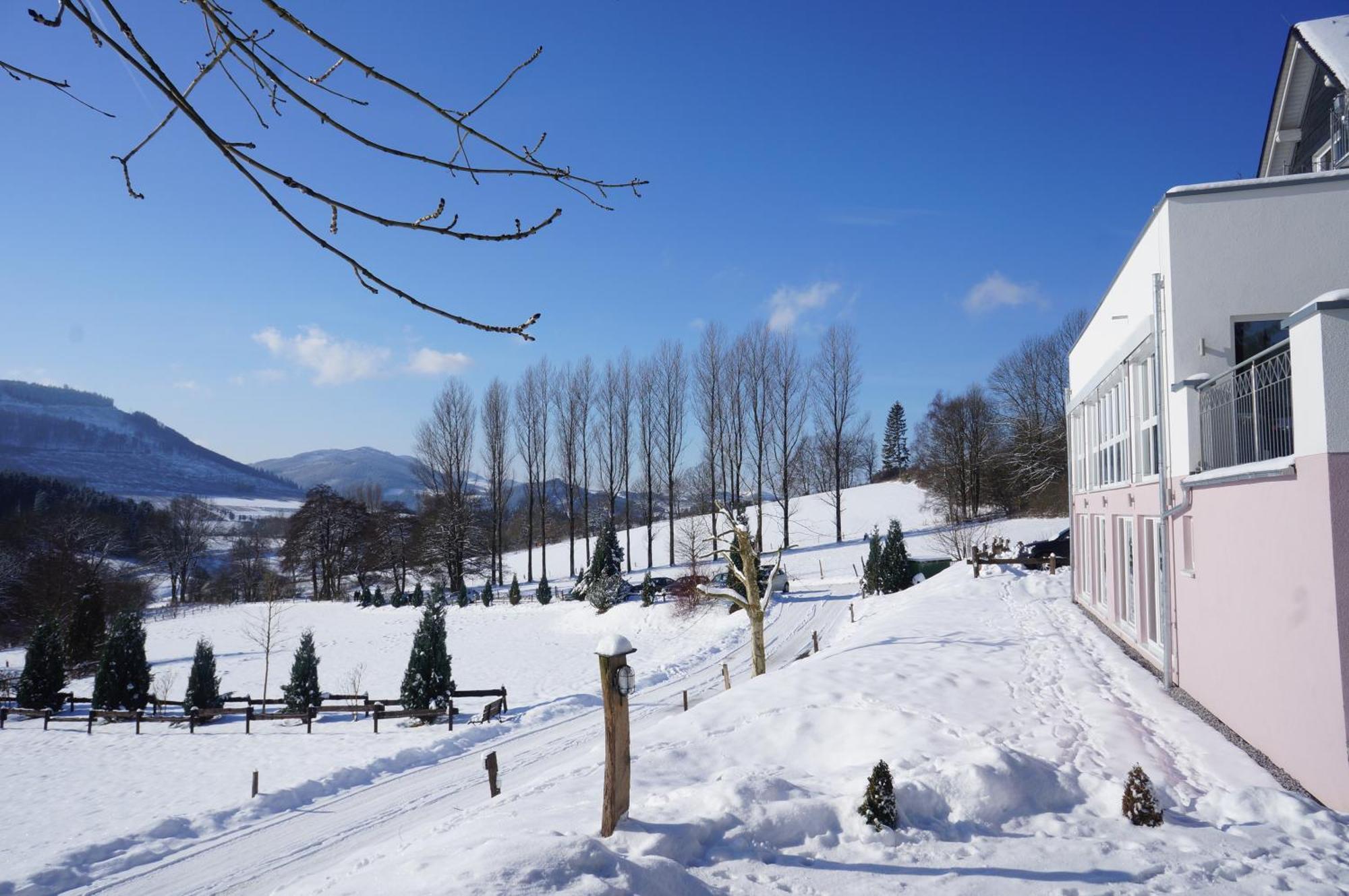 Waldhotel Schinkenwirt Ольсберг Экстерьер фото