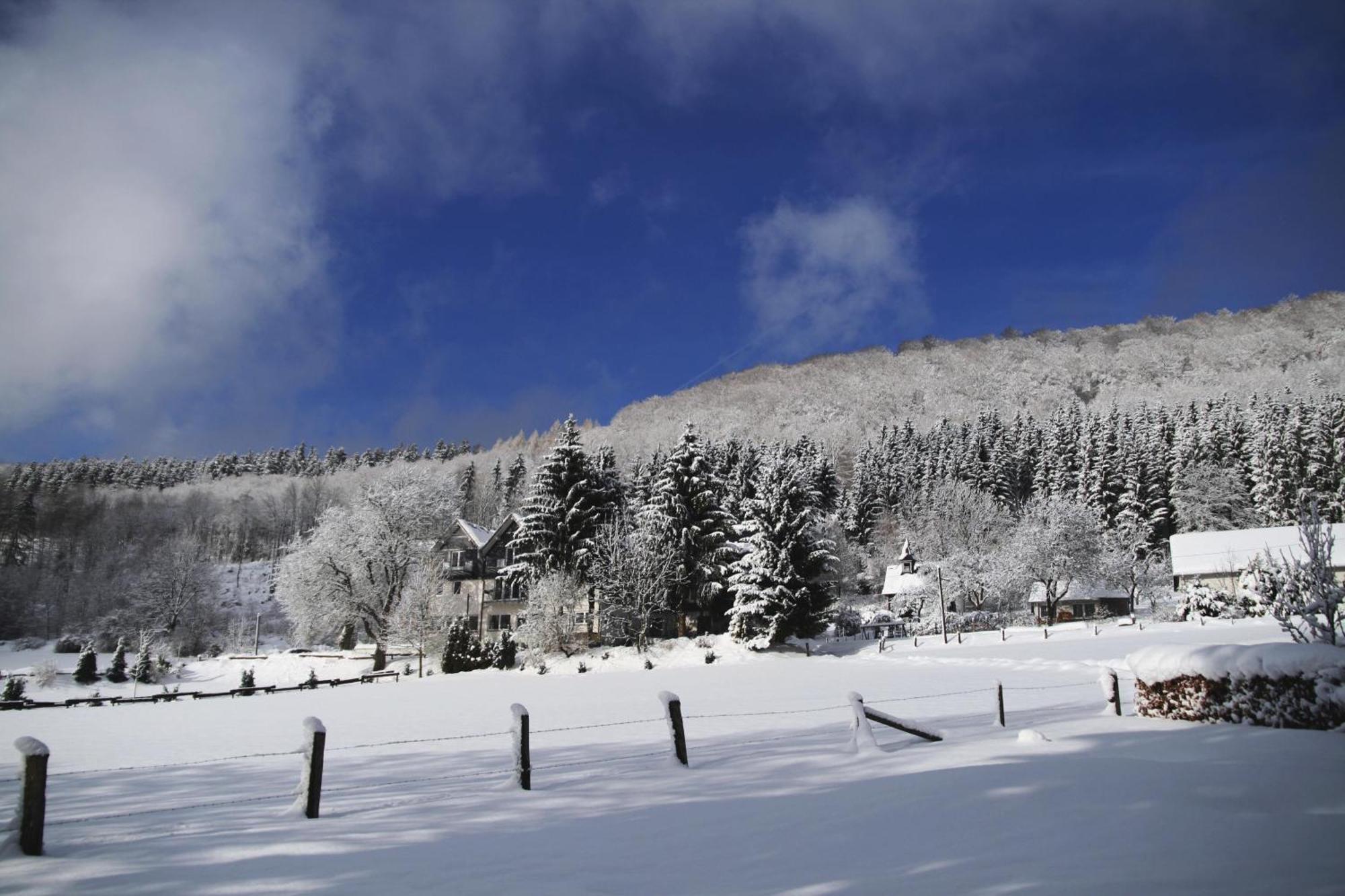 Waldhotel Schinkenwirt Ольсберг Экстерьер фото