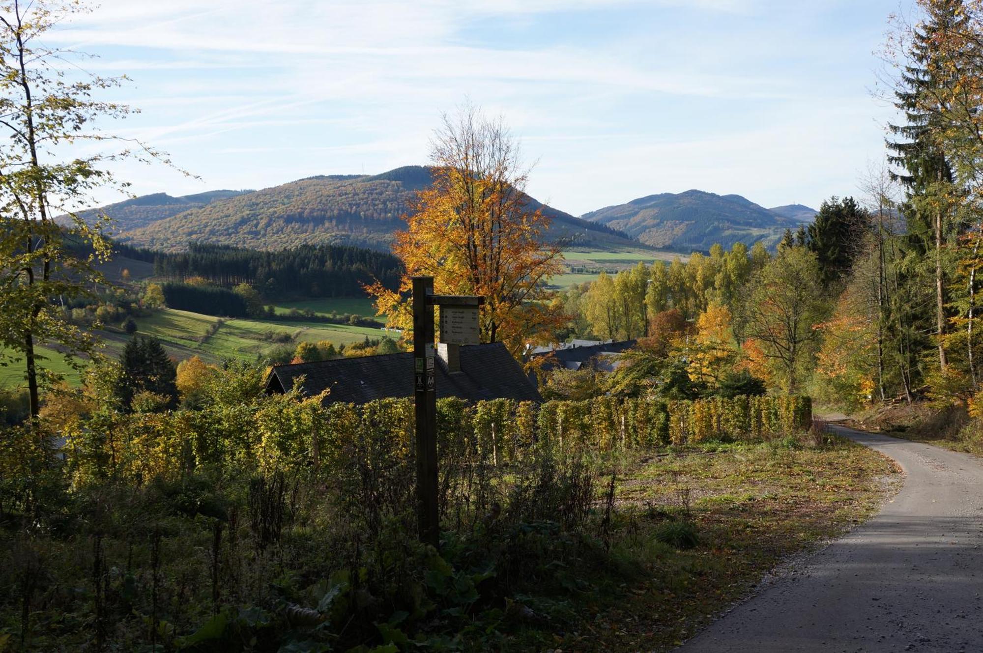 Waldhotel Schinkenwirt Ольсберг Экстерьер фото